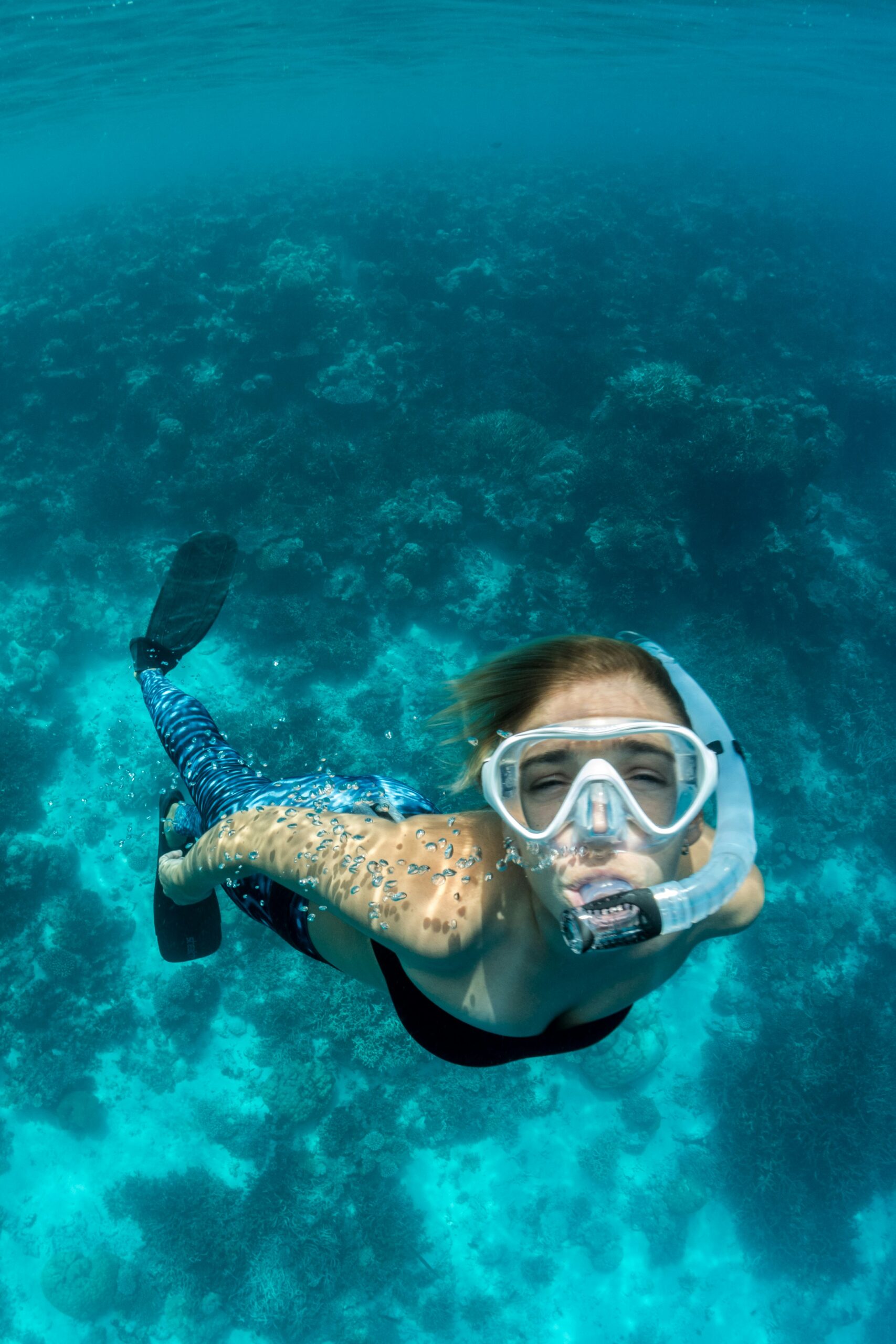 Snorkel - Morro de SP